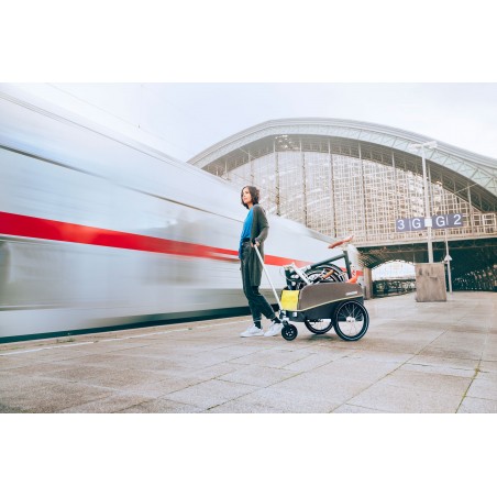 Croozer Click & Crooz Cargo Deichsel für 16-20 Zoll Räder