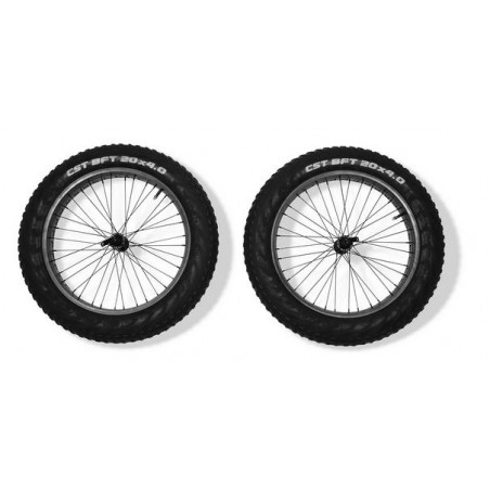 Reacha Einzelrad / Laufradsatz - beach 20" fat / 20" compact