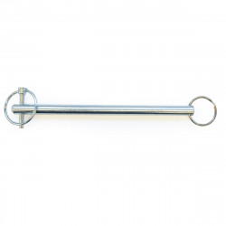 Sicherungsbolzen /swing arm...
