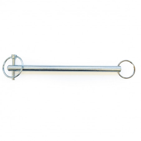 Sicherungsbolzen /swing arm retraining pin für COHO XC Hinterradaufnahme