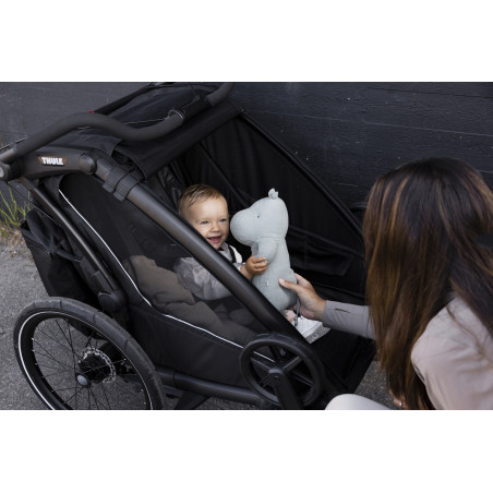 Thule Chariot Sport 2 Double Kinderanhänger 2024 * NEU