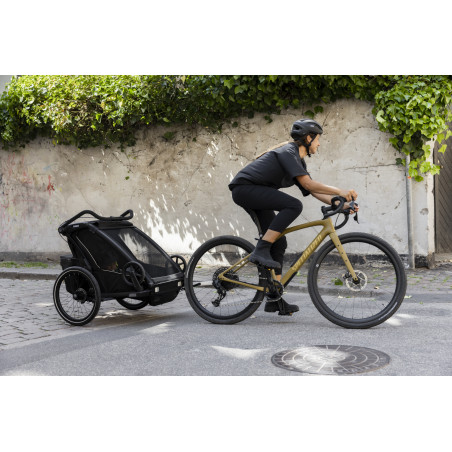Thule Chariot Sport 2 Double Kinderanhänger 2024 * NEU
