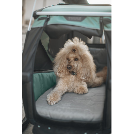Thule Bexey Hazy Green M Hundeanhänger