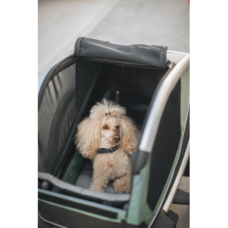Thule Bexey Hazy Green M Hundeanhänger