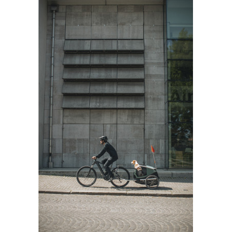 Thule Bexey Hazy Green M Hundeanhänger