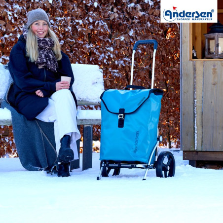 Andersen Royal Shopper Ortlieb Lastenanhänger